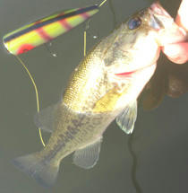0609061.jpg