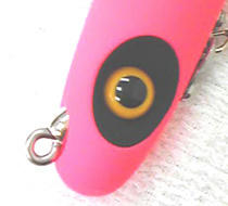 0708002.jpg