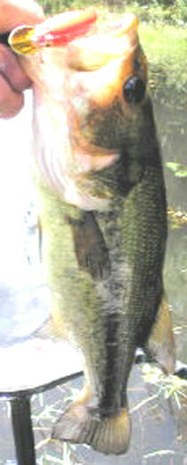 0708050.jpg