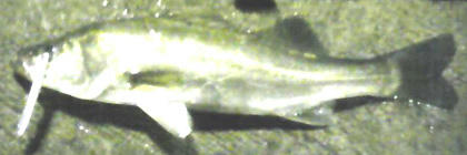 0727002.jpg