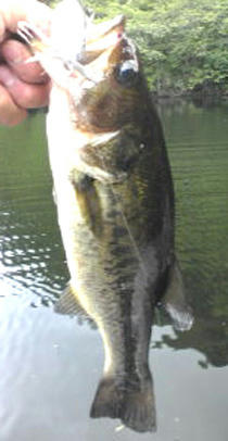 0802004.jpg