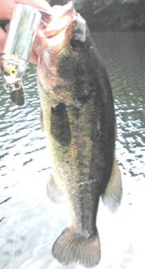 0802006.jpg