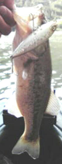 0803002.jpg