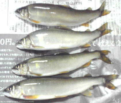 0806001.jpg