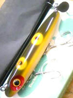 0813001.jpg