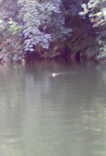 0814001.jpg