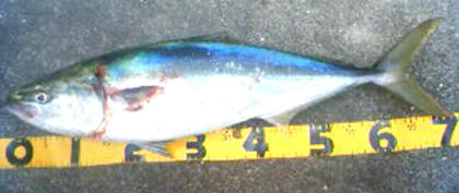 0820002.jpg
