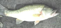 0823002.jpg
