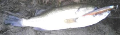 0823012.jpg