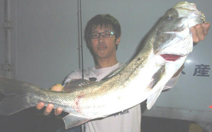 0826012.jpg