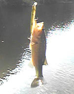 0909001.jpg