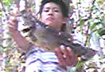 0909003.jpg