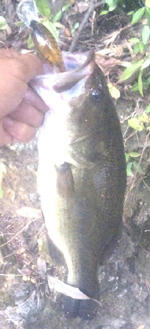 0913061.jpg