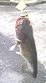 0913062.jpg