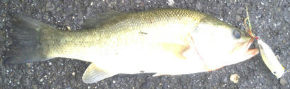 0915002.jpg