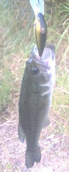 0921005.jpg