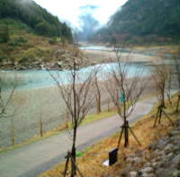 0217005.jpg