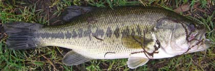 3f920081.jpeg