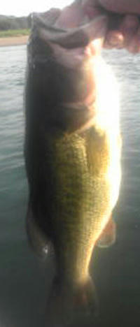 0722006.jpg