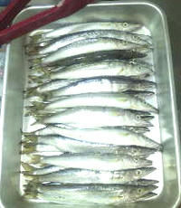 0801002.jpg