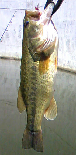 08060020.jpg