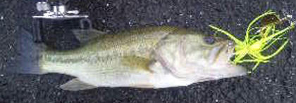 0807001.jpg