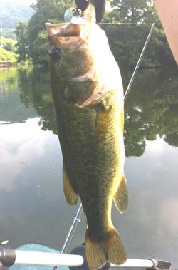 0820020.jpg