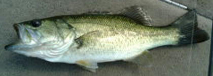 0822005.jpg