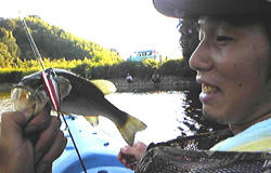 0901022.jpg