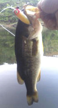 0914011.jpg
