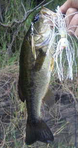 0920006.jpg