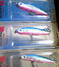1022004.jpg
