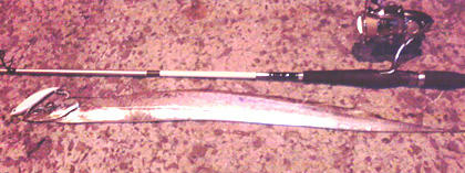 1028007.jpg
