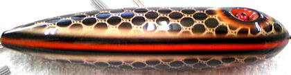 0110021.jpg