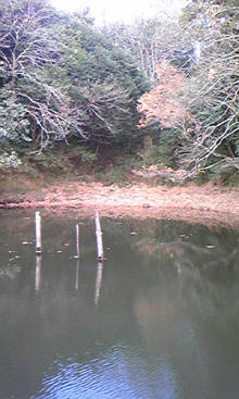 0116010.jpg