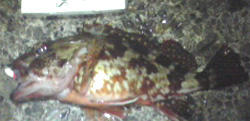 0218011.jpg