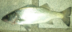 0324004.jpg