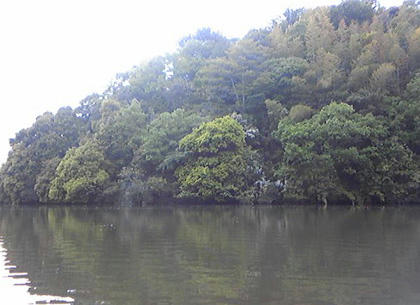 0506001.jpg