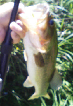 0724011.jpg