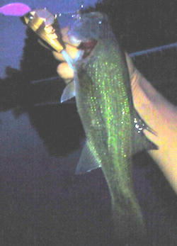 0821040.jpg