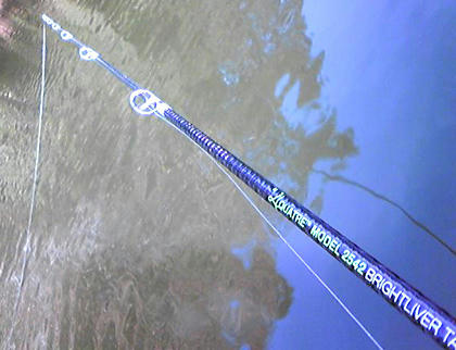 0928032.jpg