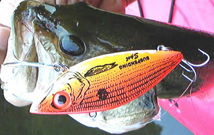 1102005.jpg