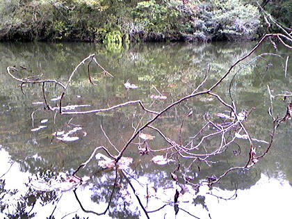 1102007.jpg