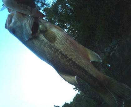 0505010.jpg