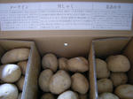 cf30511f.jpg