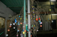 070711_tanabata.JPG