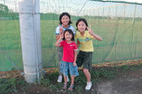 070909_mega1.JPG