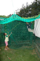 070922_goya1.JPG