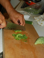 070922_goya4.JPG