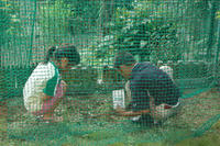 070922_mame3.JPG